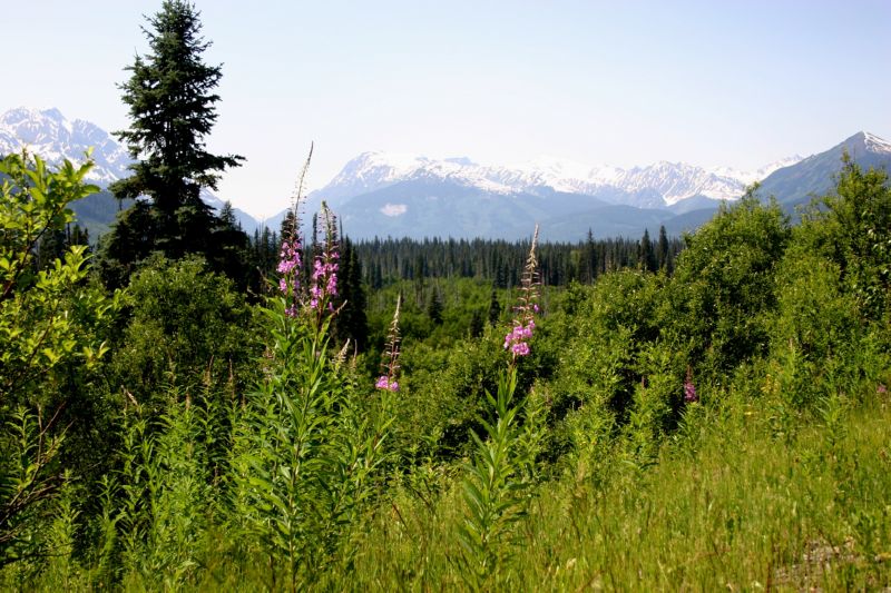 062004 P Rupert to Hyder AK (10169)